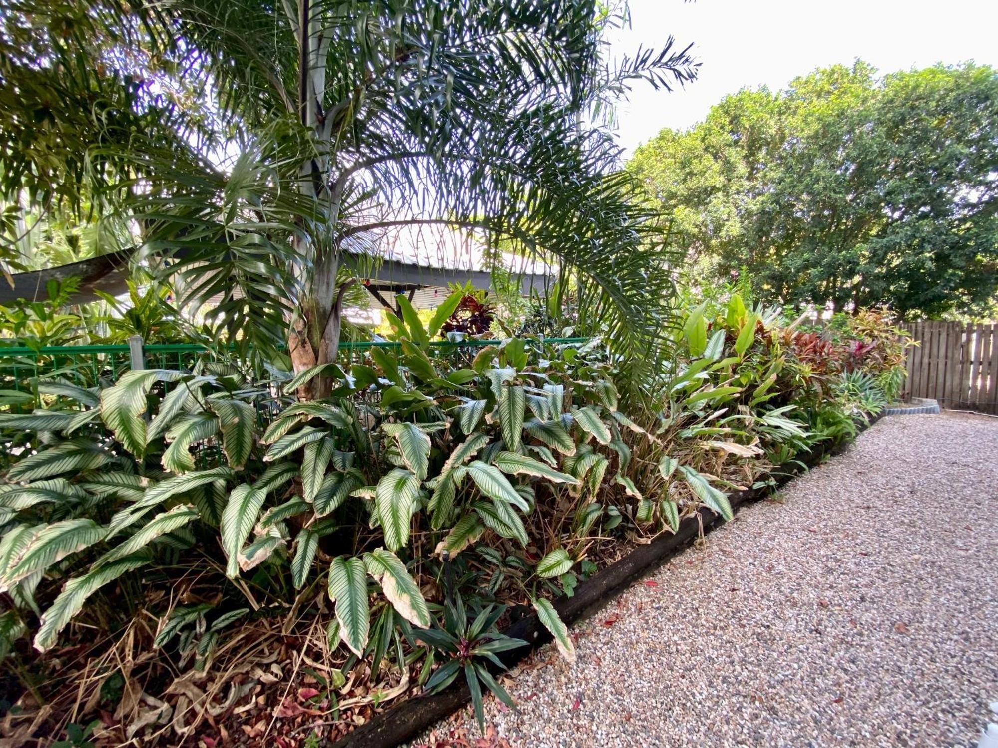 Reef Gateway Apartments Cairns Zewnętrze zdjęcie